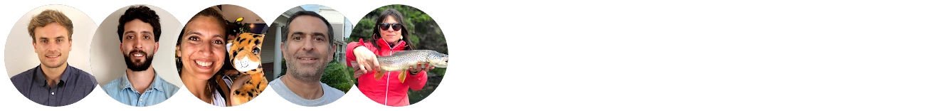 Testimonios de viajeros satisfechos en Journey of Life