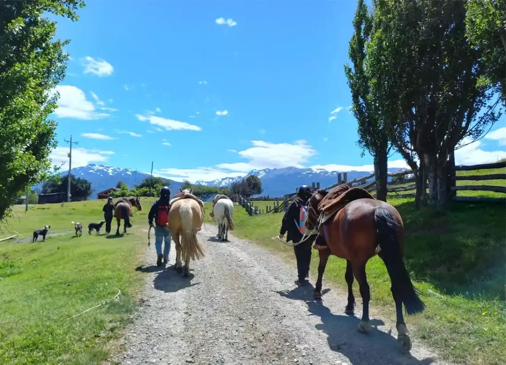 cabalgatas en la patagonia